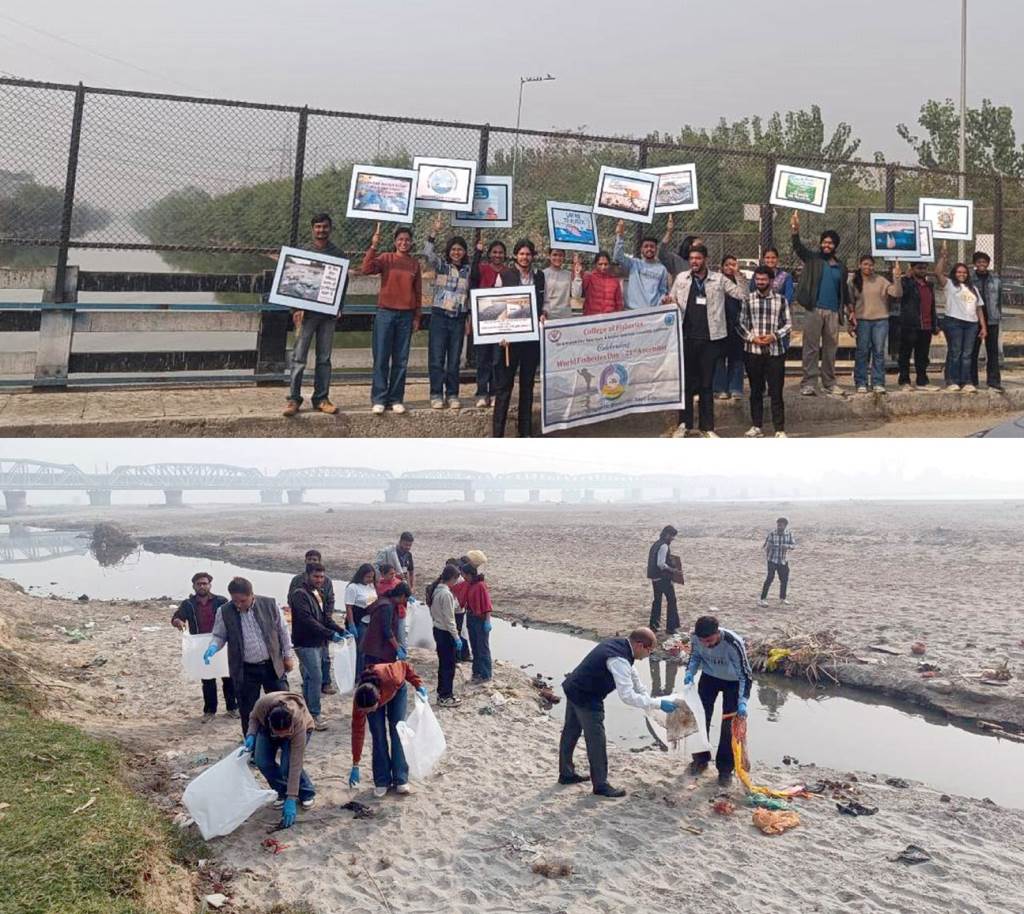 Vet Varsity Celebrates World Fisheries Day